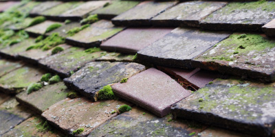 Great Eversden roof repair costs